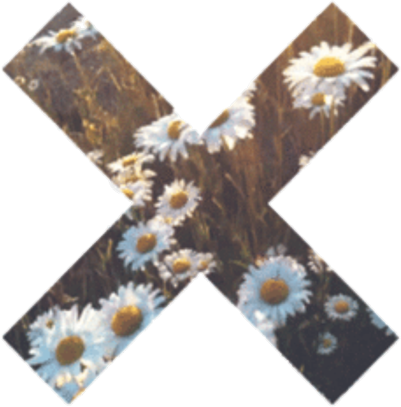 #cross #tumblr #flower - Transparent X Clipart (1024x657), Png Download
