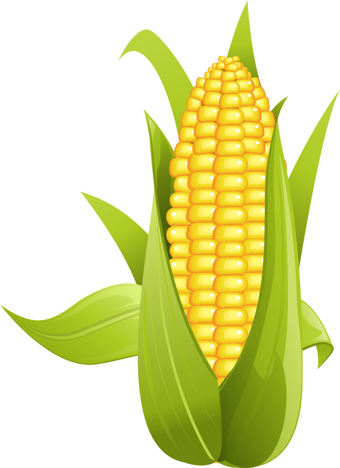 Kernel Clipart Corn Kernel - Ear Of Corn Clipart - Png Download (1000x1000), Png Download