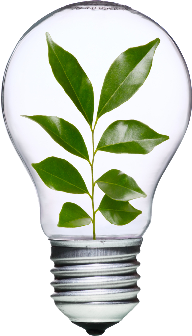 Dracomp Számítástechnika - Light Bulb Earth Png Clipart (566x848), Png Download