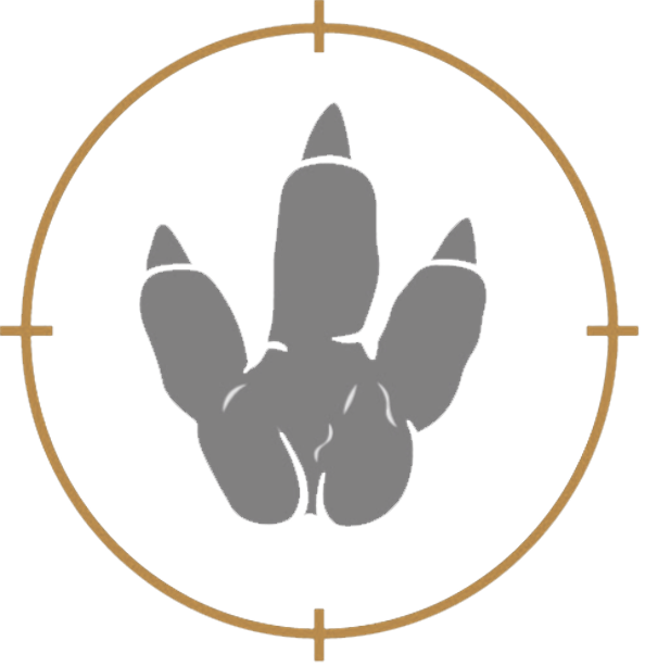 Stencil Dinosaur Foot Png Clipart (594x613), Png Download