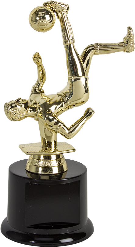 Male Participation Trophy For Soccer Events - Trophy Clipart (486x1200), Png Download