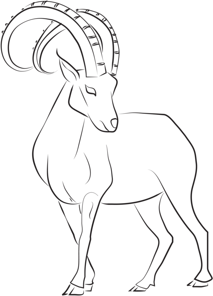 Ibex Clipart Mountain Goat - Markhor Drawing - Png Download (778x1026), Png Download