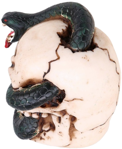 Boa Constrictor Clipart (514x599), Png Download