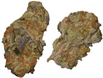 Girl Scout Cookies - Rock Clipart (600x600), Png Download