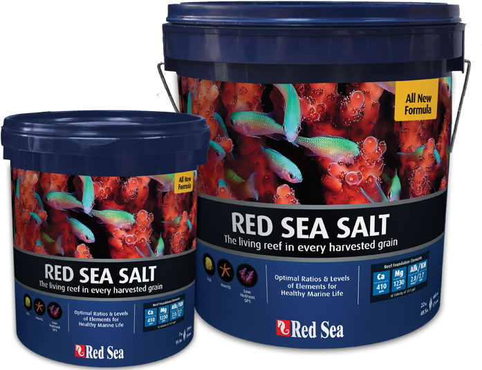 Red Sea Salts - Coral Reef Red Sea Salt Clipart (800x540), Png Download