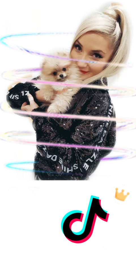 Pomeranian Clipart (480x914), Png Download