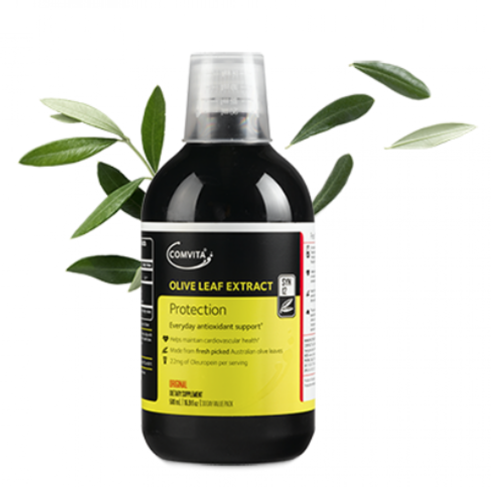 مستخلص اوراق الزيتون Clipart (1700x980), Png Download