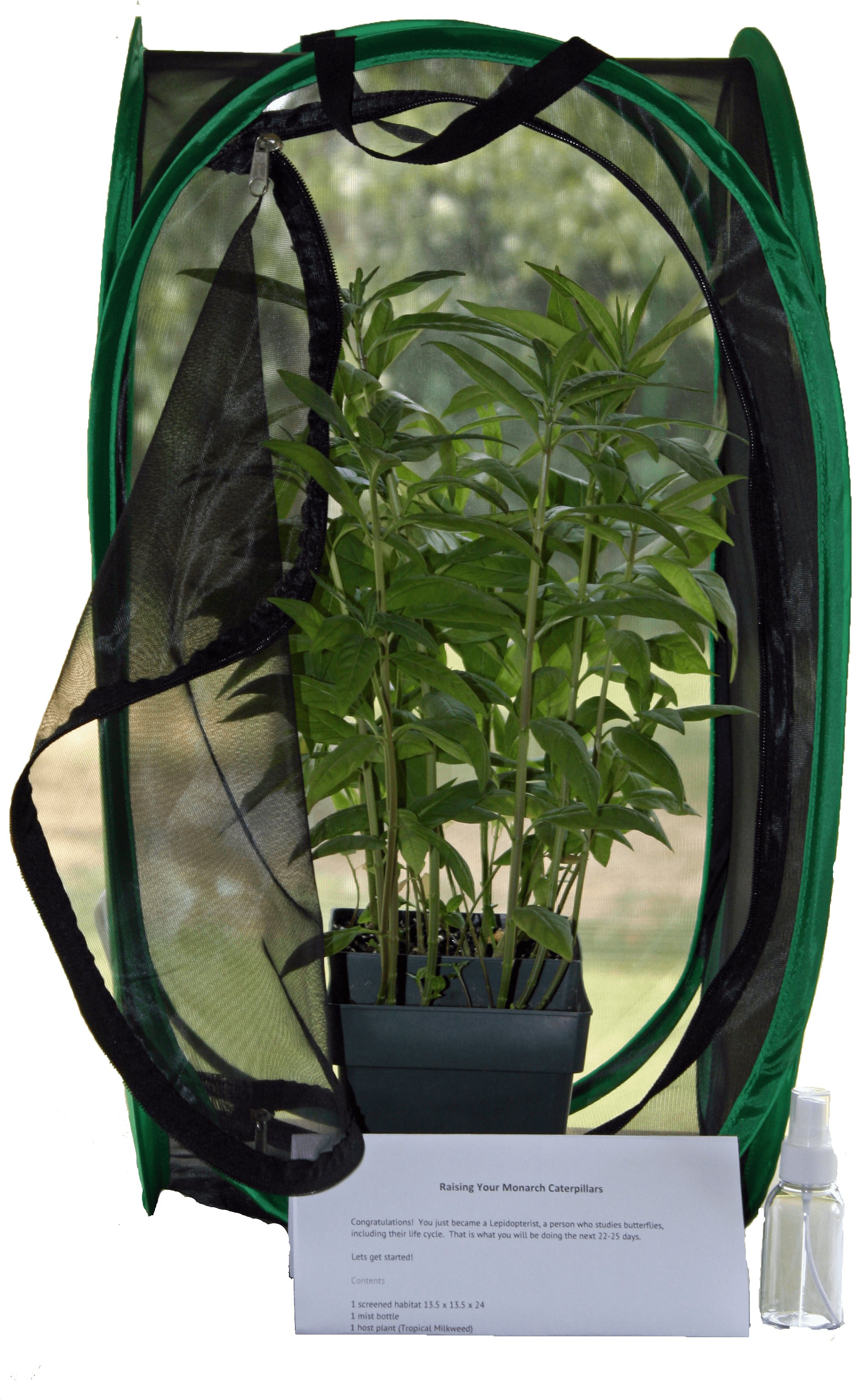 A Butterfly Tale Llc - Houseplant Clipart (2124x3593), Png Download