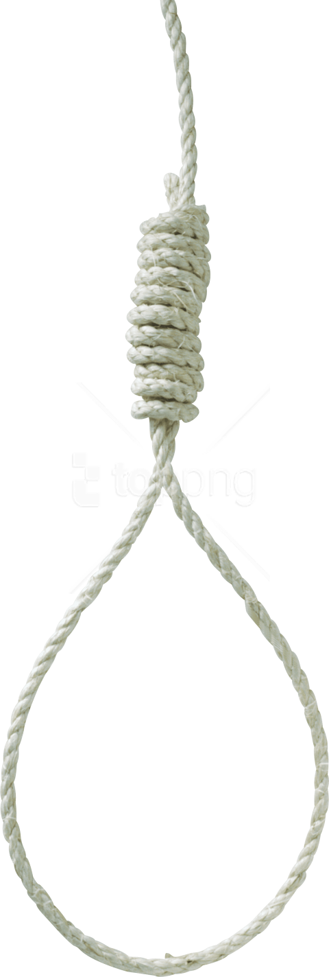 Free Png Download Rope Png Images Background Png Images - Rope Loop Png Clipart (480x1423), Png Download