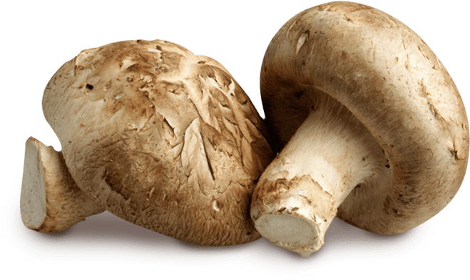 Shitake Mushrooms - פטריות Clipart (860x579), Png Download