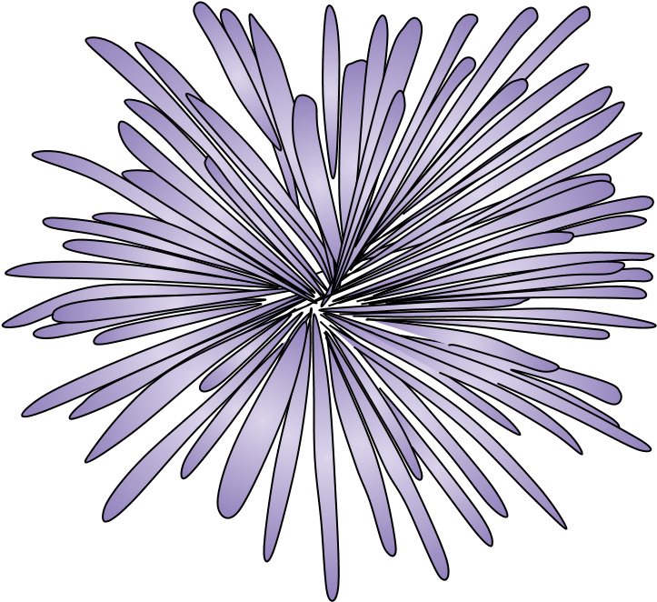 Fireworks, Burst, Style 2, Purple, Png - Drawing Clipart (816x1056), Png Download