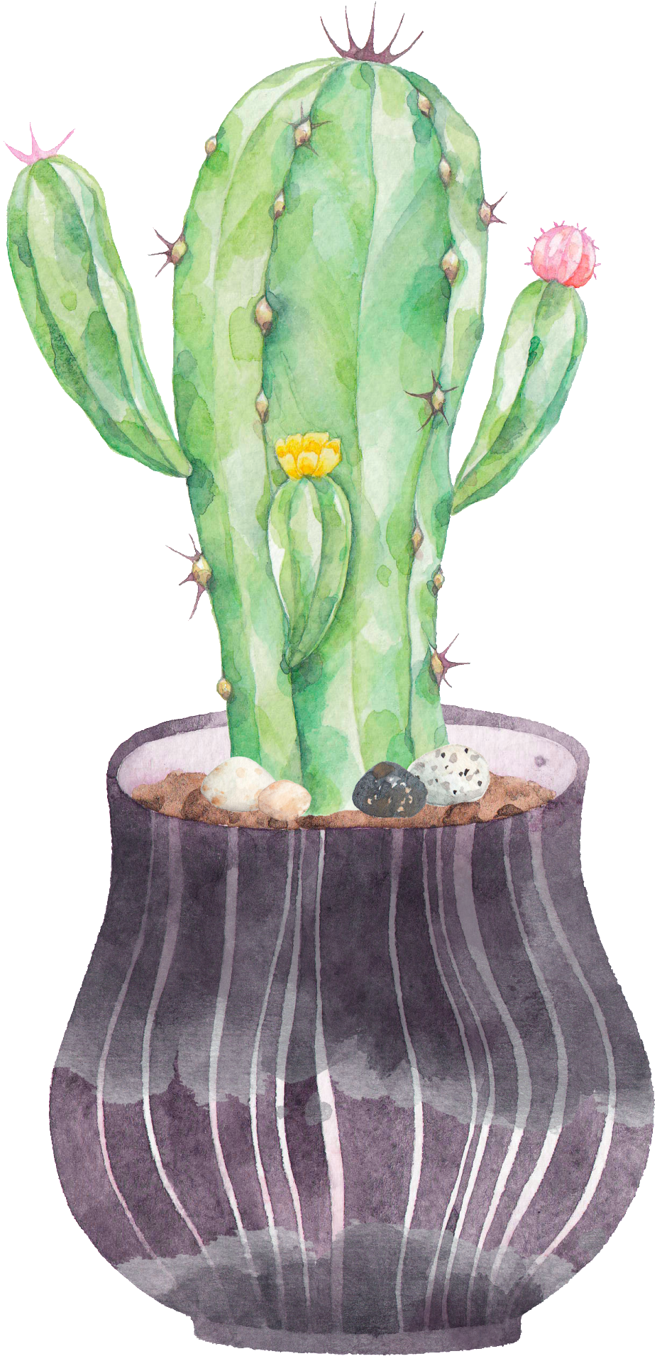 Cactus Png , Png Download - Cactus Png Clipart (933x1918), Png Download