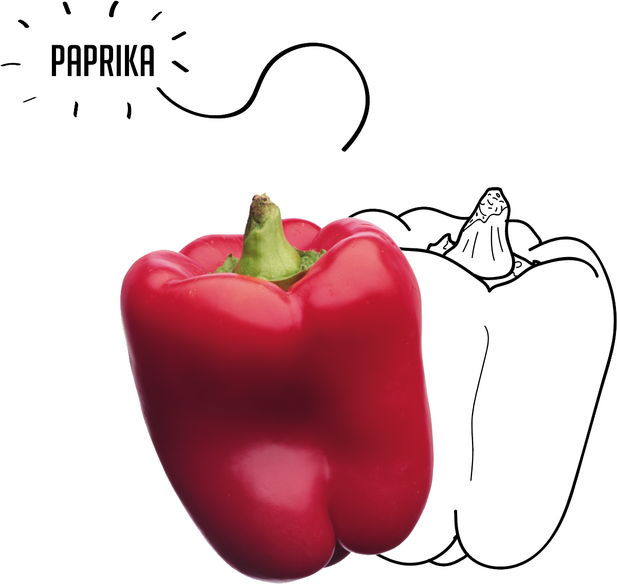 Paprika - 항산화 식품 Clipart (2016x1526), Png Download