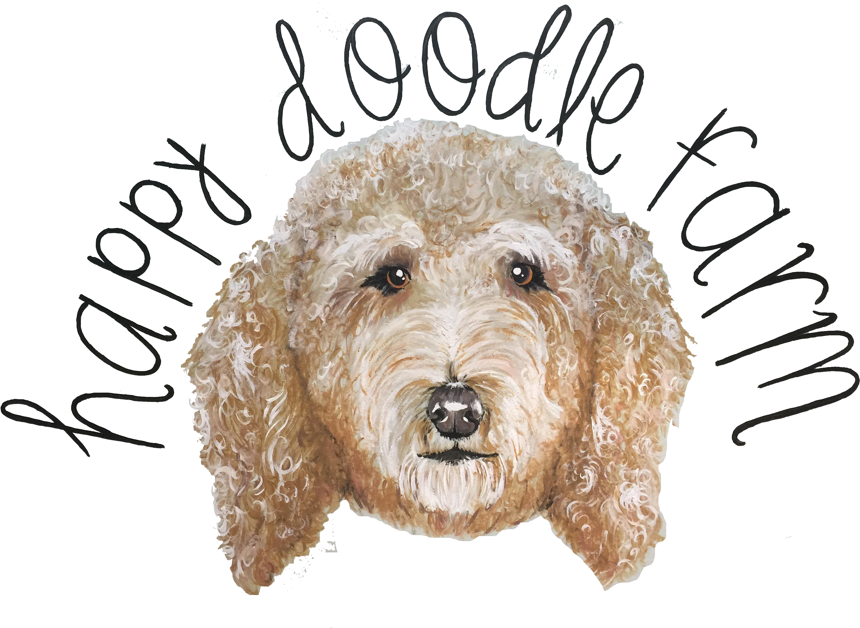 Goldendoodle Clipart (3264x2448), Png Download