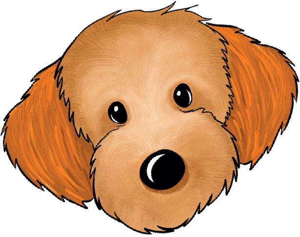 Mini Goldendoodle Puppies For Sale - Companion Dog Clipart (817x724), Png Download