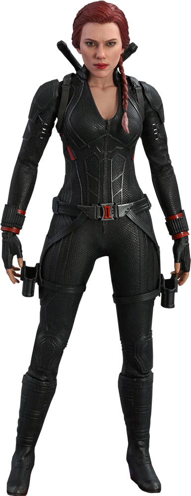 Black Widow Clipart (480x1000), Png Download