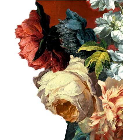 Garden Roses Clipart (1024x483), Png Download