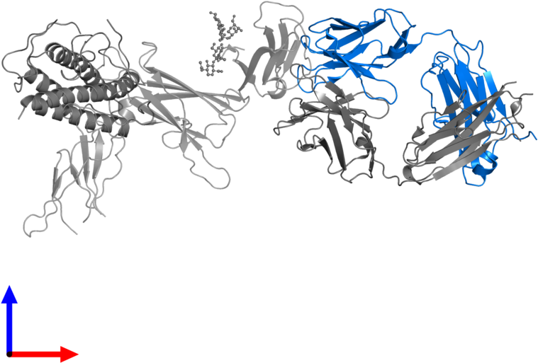 <div Class='caption-body'>pdb Entry 3hmx Contains 1 - Cartoon Clipart (800x800), Png Download