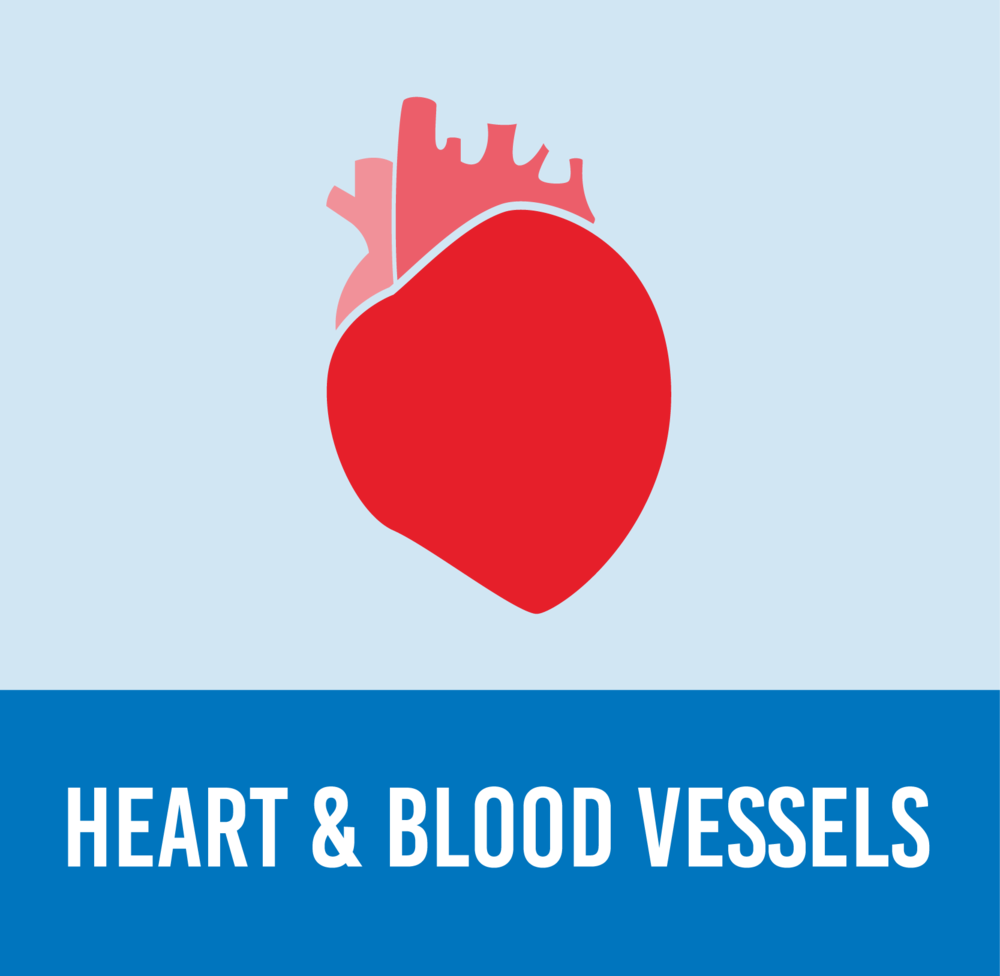 Nz What Is Diabetes-20 - Illustration Clipart (1000x976), Png Download