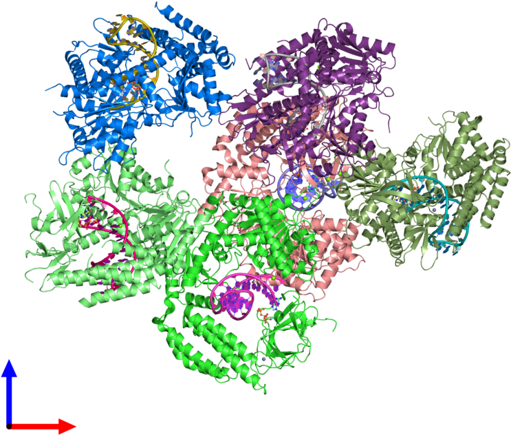 Pdb 5f9h Coloured By Chain And Viewed From The Front - Illustration Clipart (800x800), Png Download