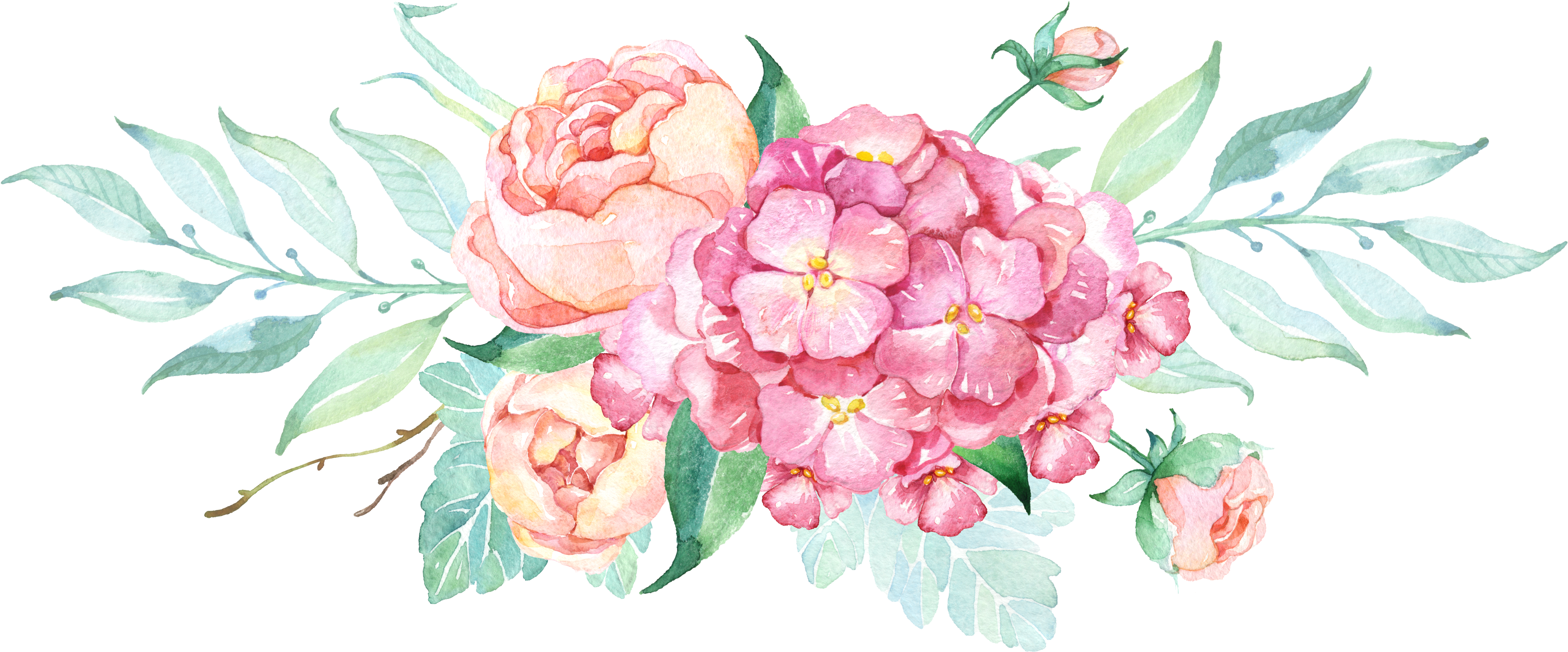 0℃素材34 Watercolor Drawing, Watercolor Flowers, Floral - Watercolor Peonies And Hydrangeas Clipart (3598x1750), Png Download