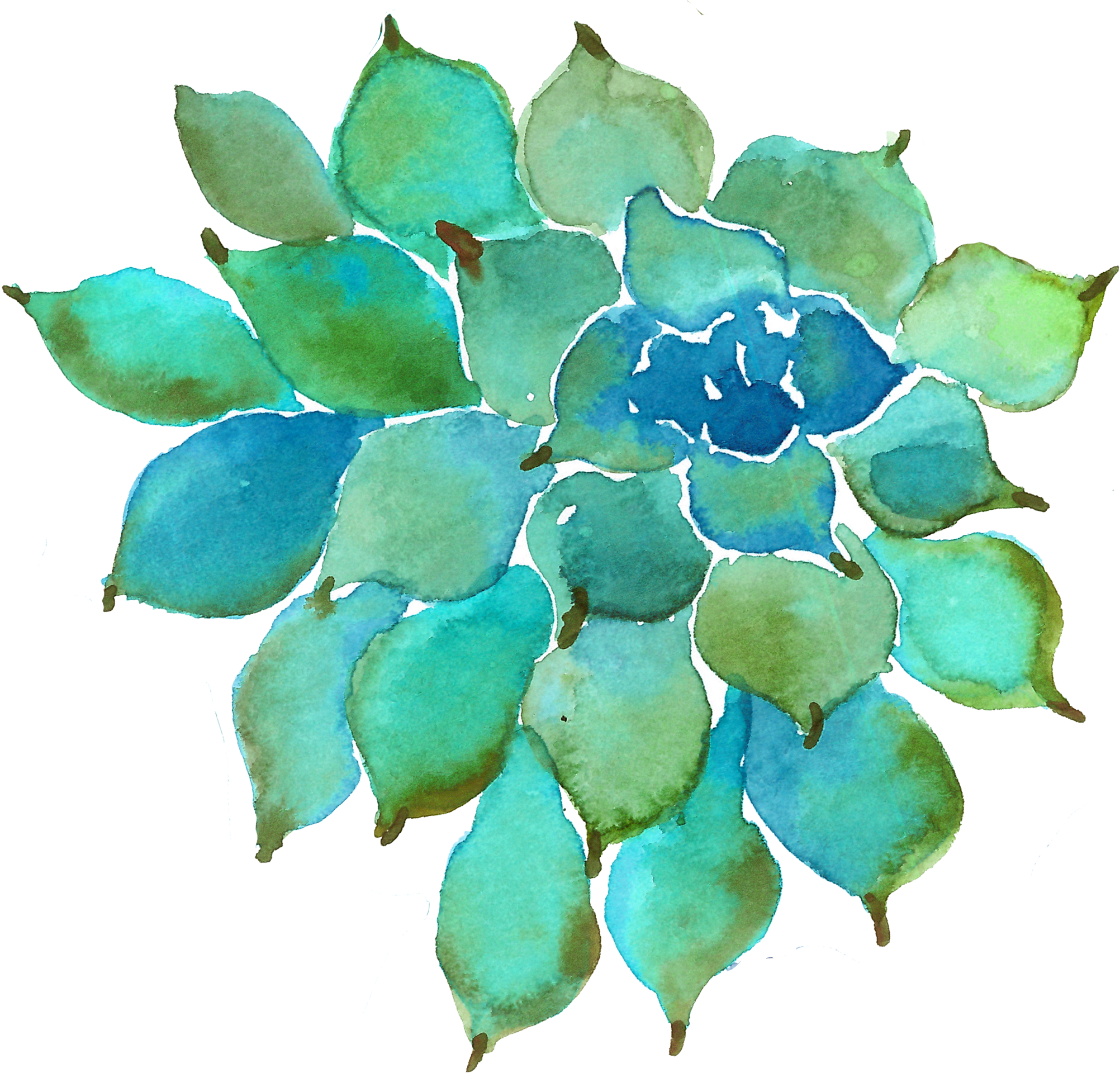 Watercolor Succulent Png - Watercolor Painting Clipart (2065x1919), Png Download