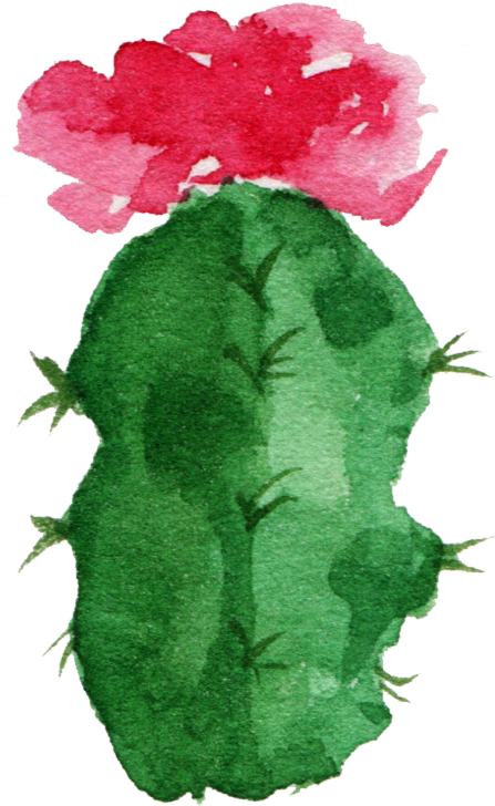 Paper Cactaceae Watercolor Painting Succulent Plant - Watercolor Transparent Succulent Background Clipart (447x728), Png Download