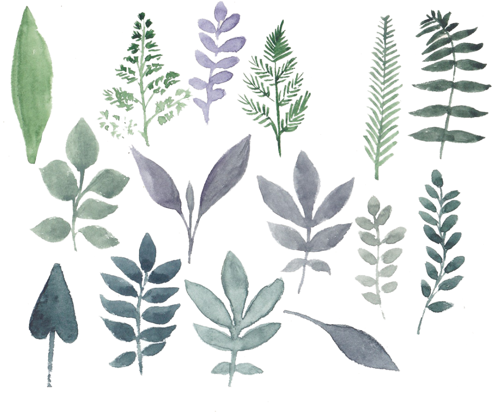 Flowers Watercolor Set Png - Flower Png Set Clipart (1024x881), Png Download