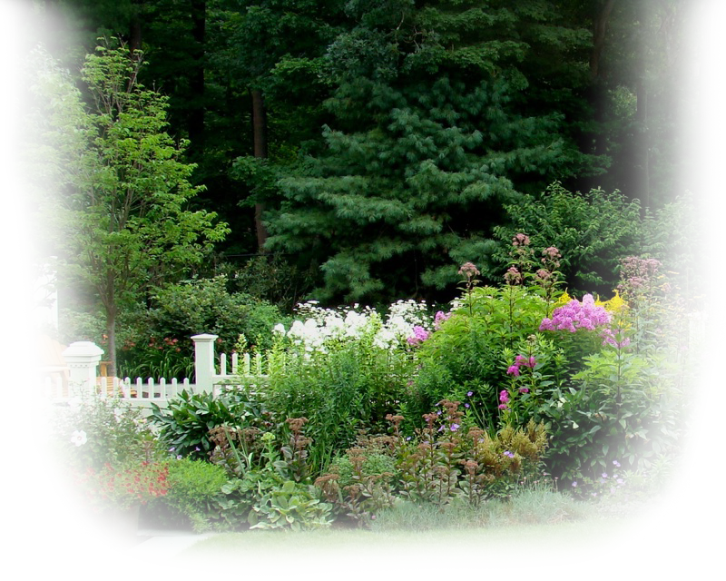 Fence Planting In Weston - Rhododendron Clipart (800x640), Png Download