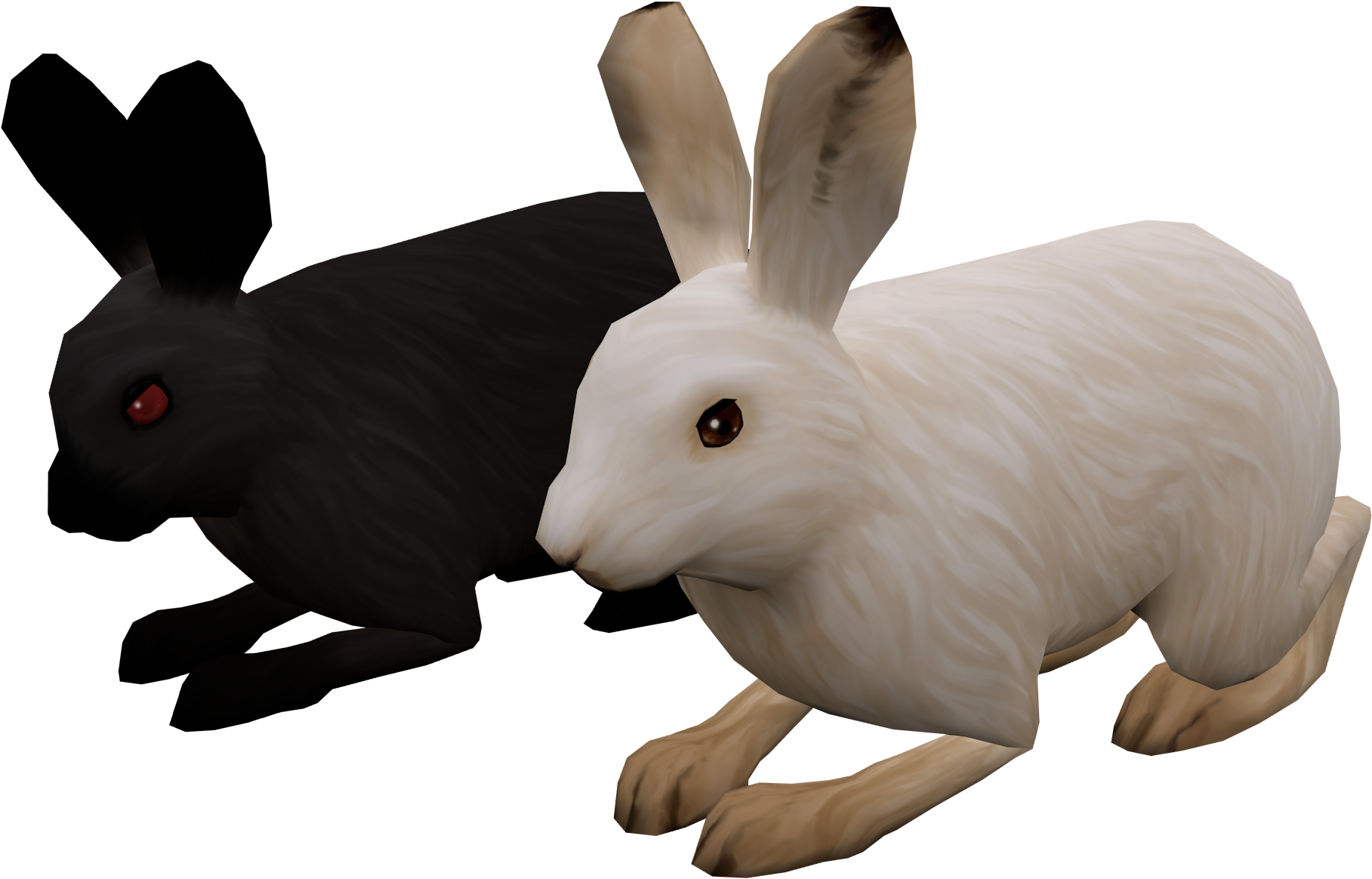 Supplemental Ngss Instructional Video Game For Middle - Domestic Rabbit Clipart (2048x2048), Png Download