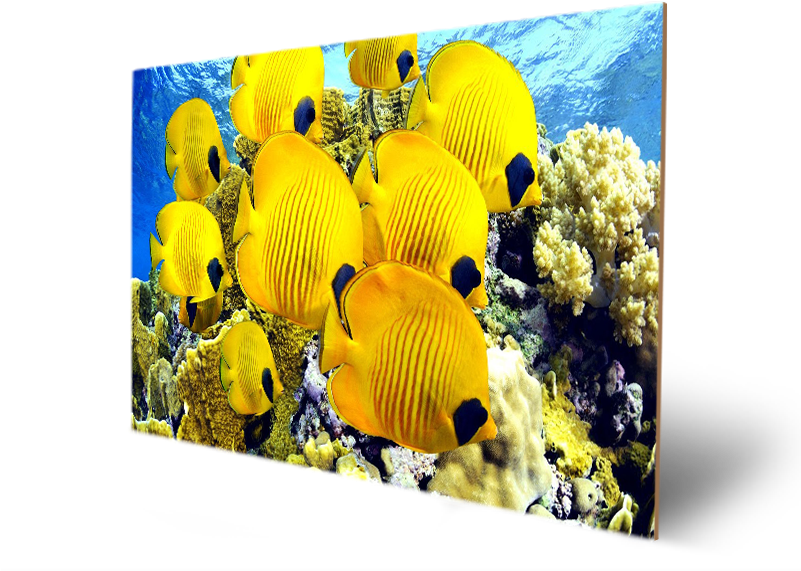 Beautirul - Embroidery Clipart (800x600), Png Download