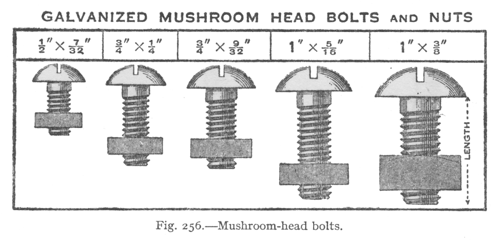 Mushroom Head Bolts & Nuts - Architecture Clipart (1024x487), Png Download