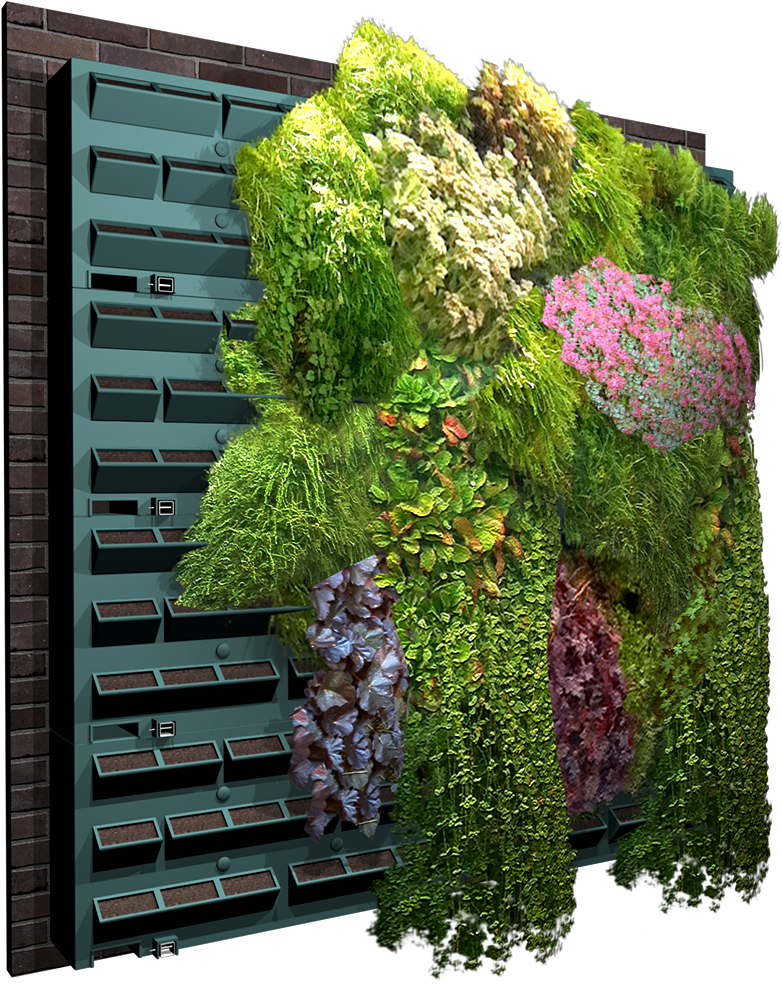 Mur Vegetal , Png Download - Mur Végétale Clipart (782x999), Png Download