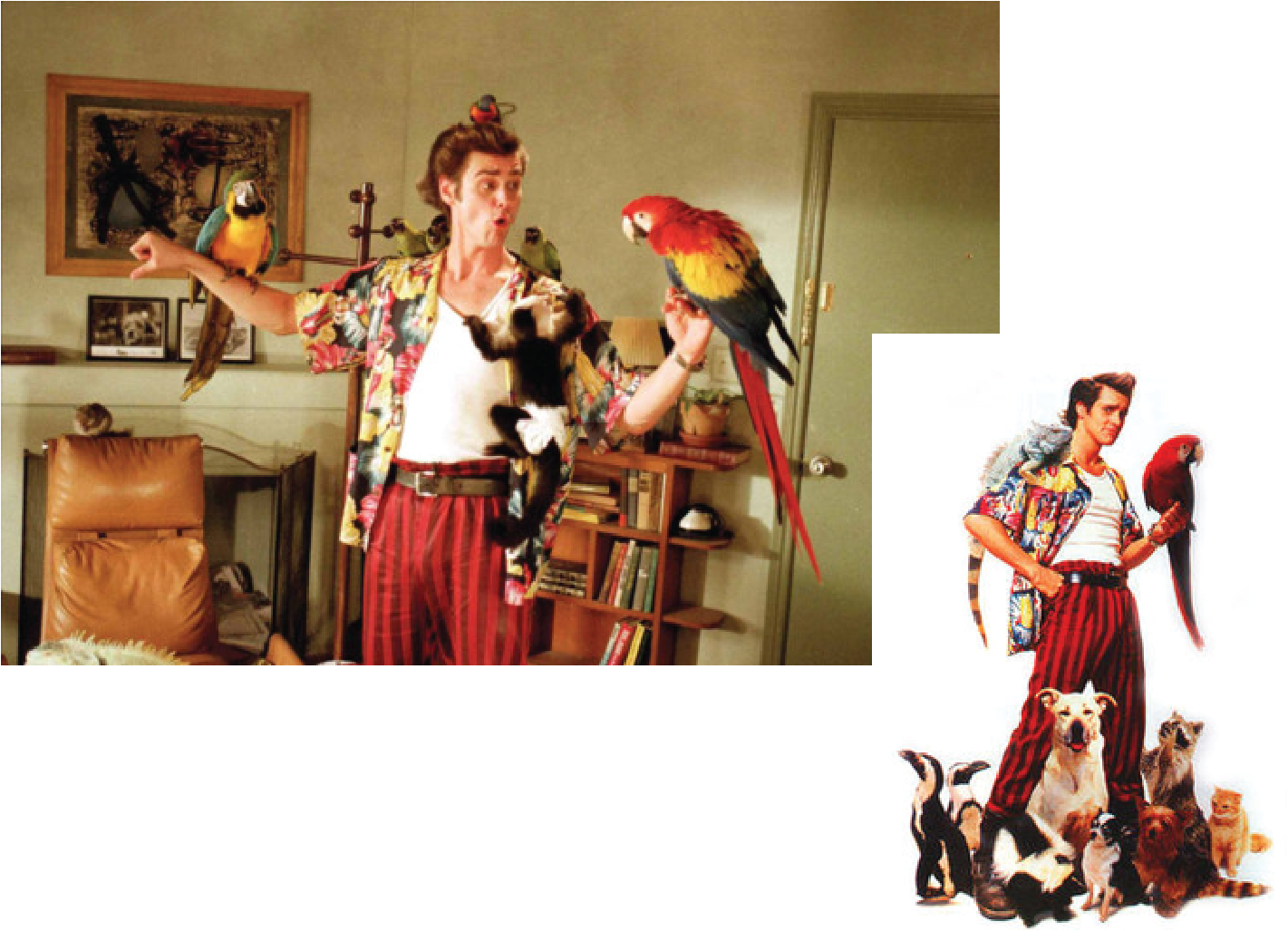 - - Ace Ventura Pet Detective Costume Clipart (1421x1027), Png Download