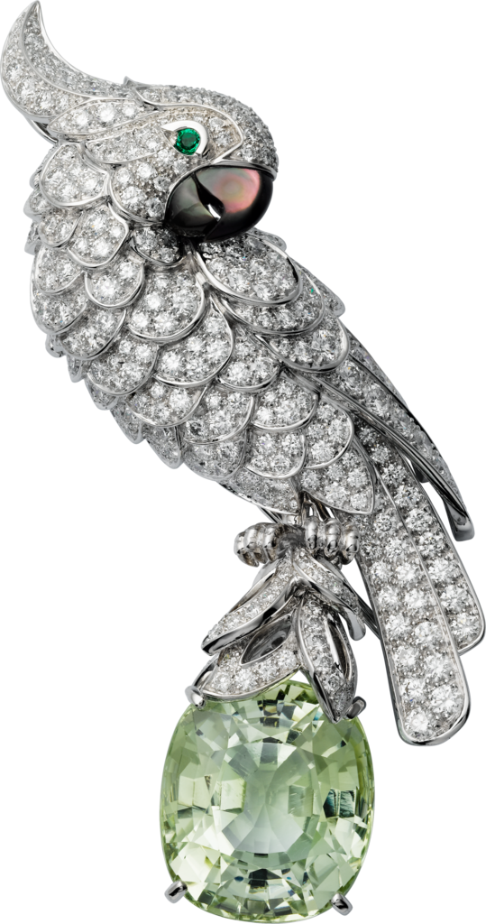 22 Nov - Cartier Parrot Clipart (539x1024), Png Download