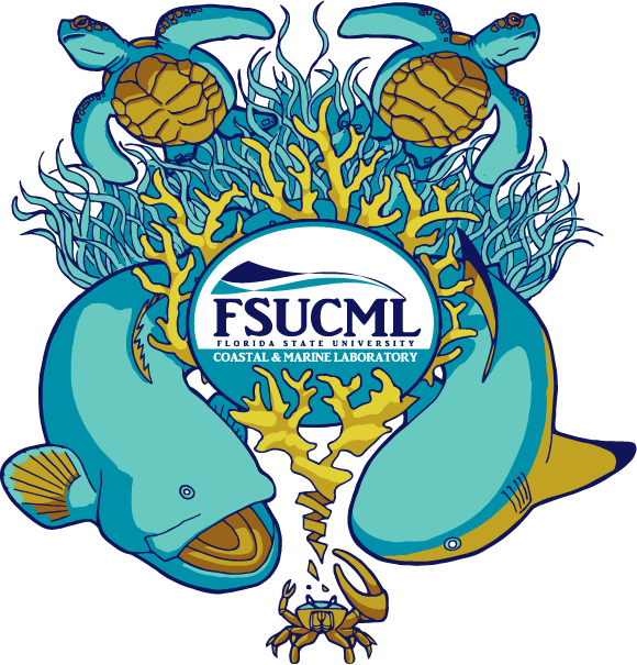 Florida State University Coastal And Marine Laboratory Clipart (580x605), Png Download