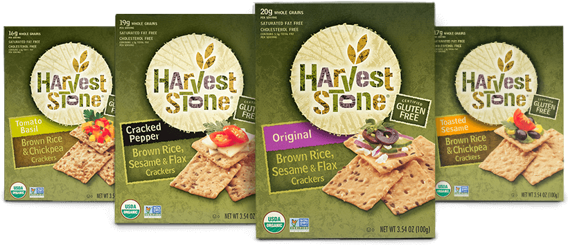 See The Flavors - Matzo Clipart (830x378), Png Download