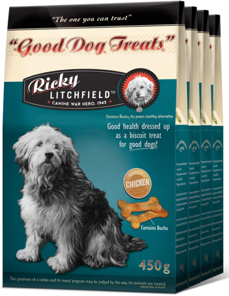 Treats-2 - Dog Food Clipart (500x648), Png Download