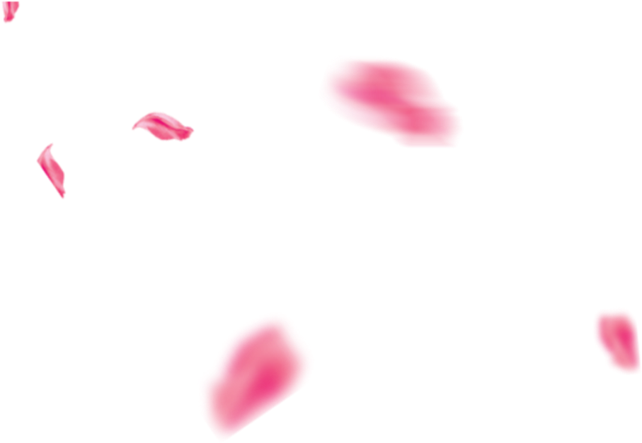 #ftestickers #flowers #petals #falling #pink - Heart Clipart (1024x1024), Png Download