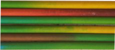Fruit Pencils - Hardwood Clipart (600x600), Png Download