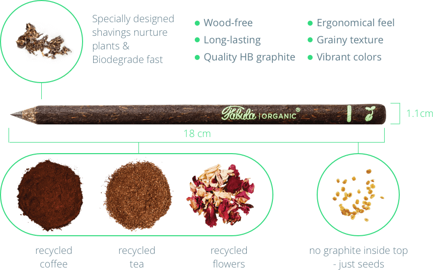 Fabuladescription - Cinnamon Clipart (860x536), Png Download