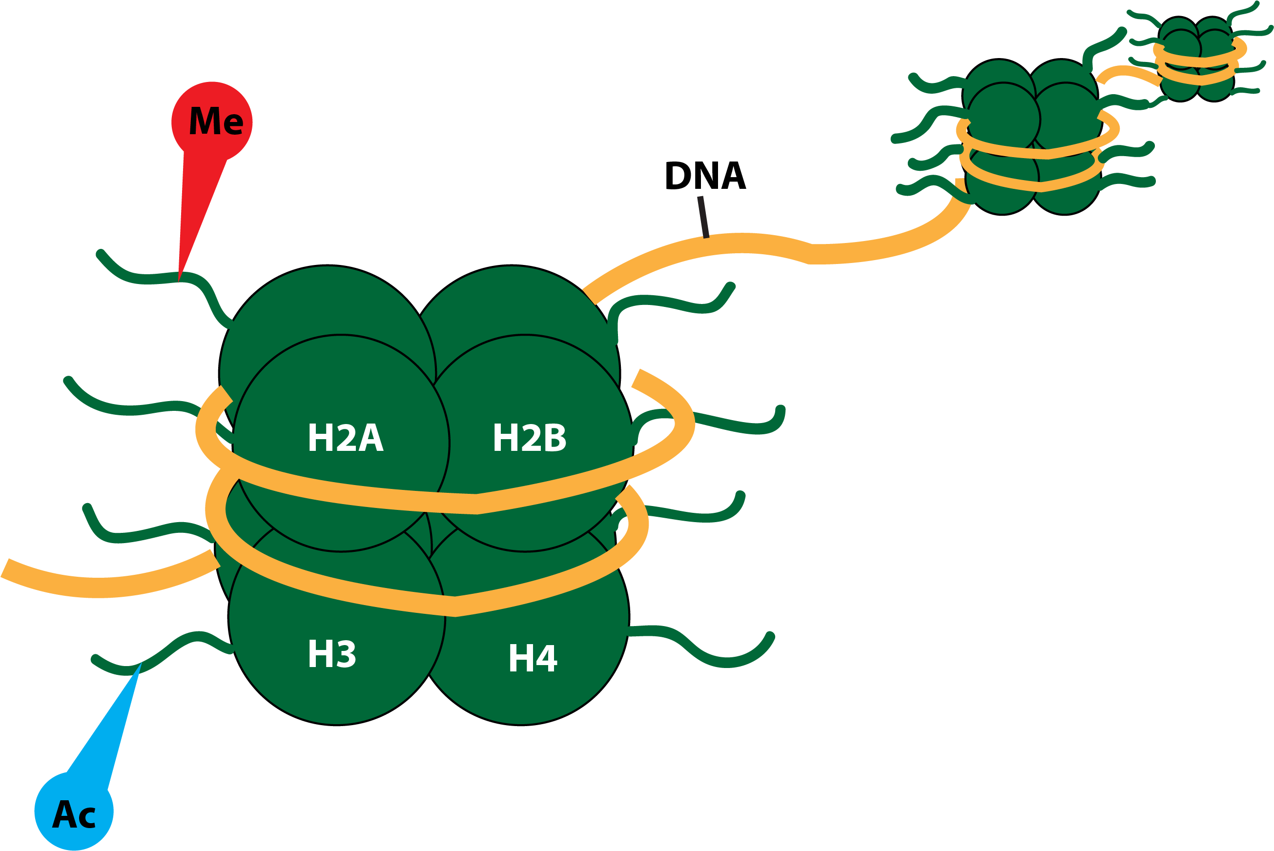 Featured Article Image Clipart (4500x1800), Png Download