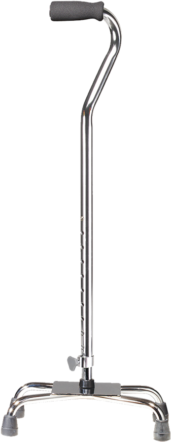 115500 1 - Adult Canes Clipart (1024x1024), Png Download