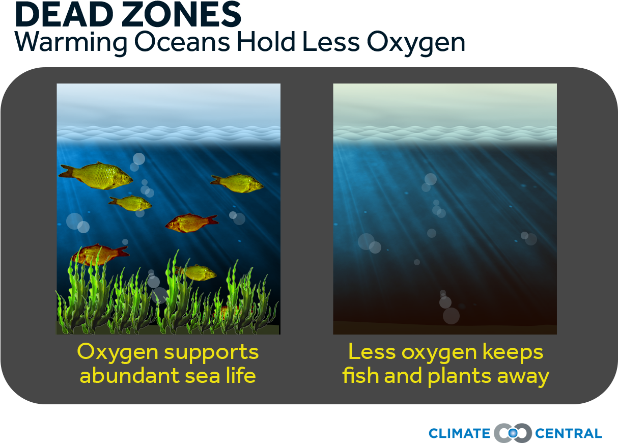 Jpg • Png - Less Oxygen In The Ocean Clipart (1920x1080), Png Download