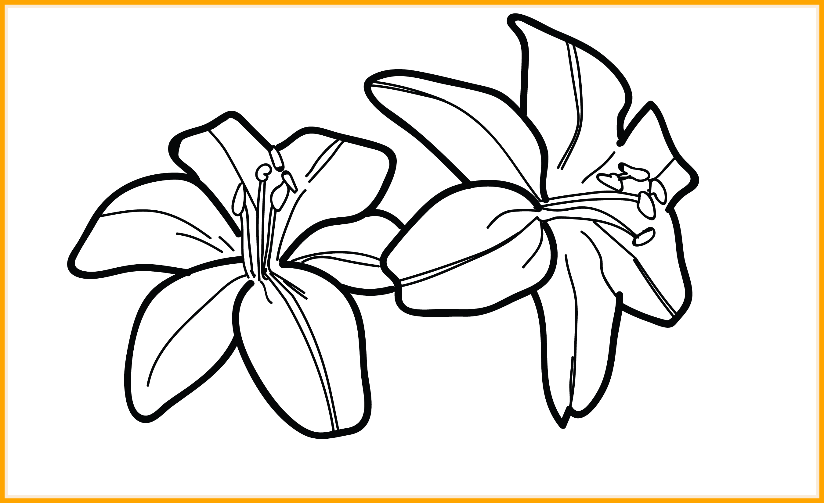 Morning Drawing Lily - Tiger Lily Flower Black And White Clipart (2700x1650), Png Download