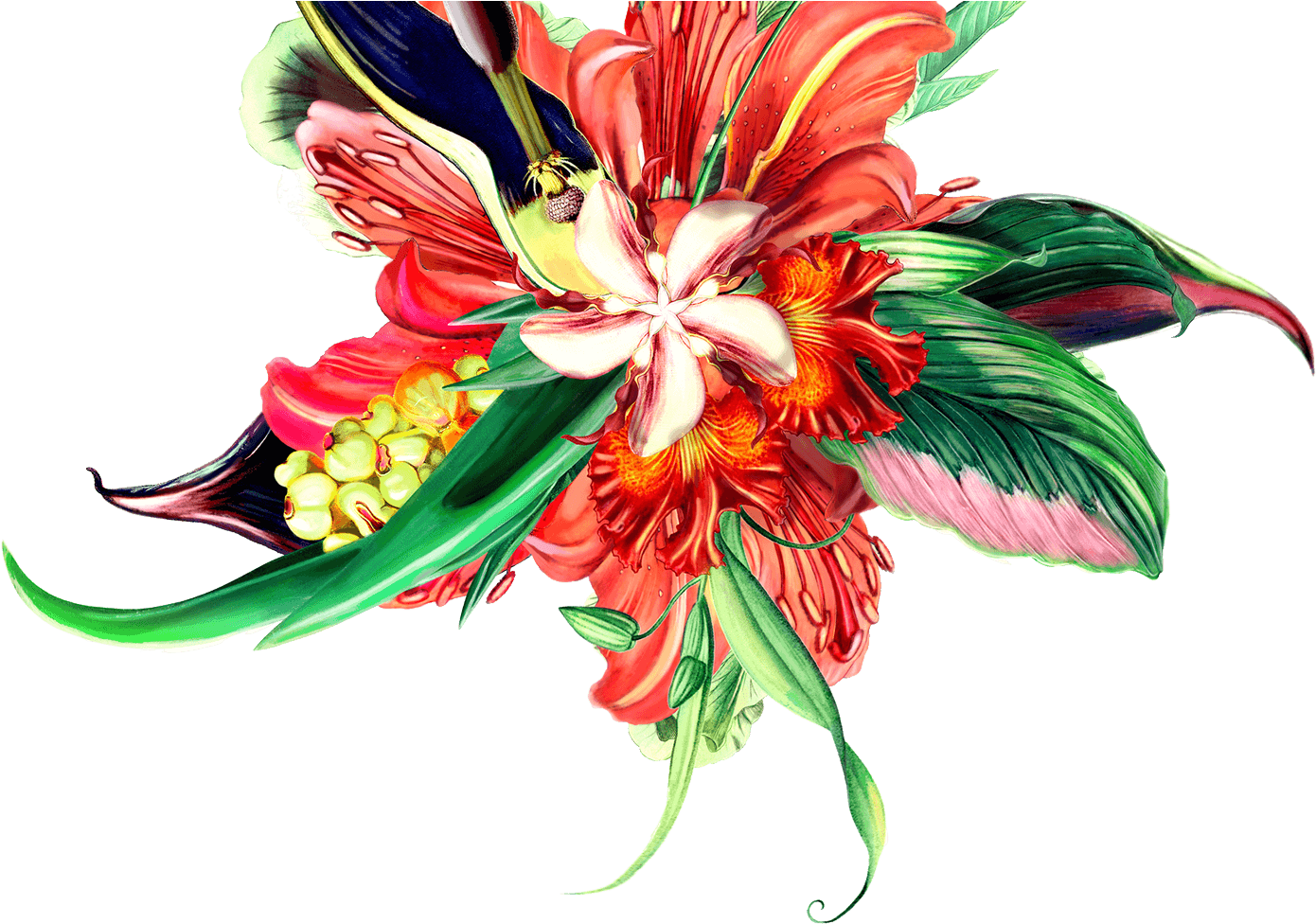 Bouquet Clipart (1400x975), Png Download