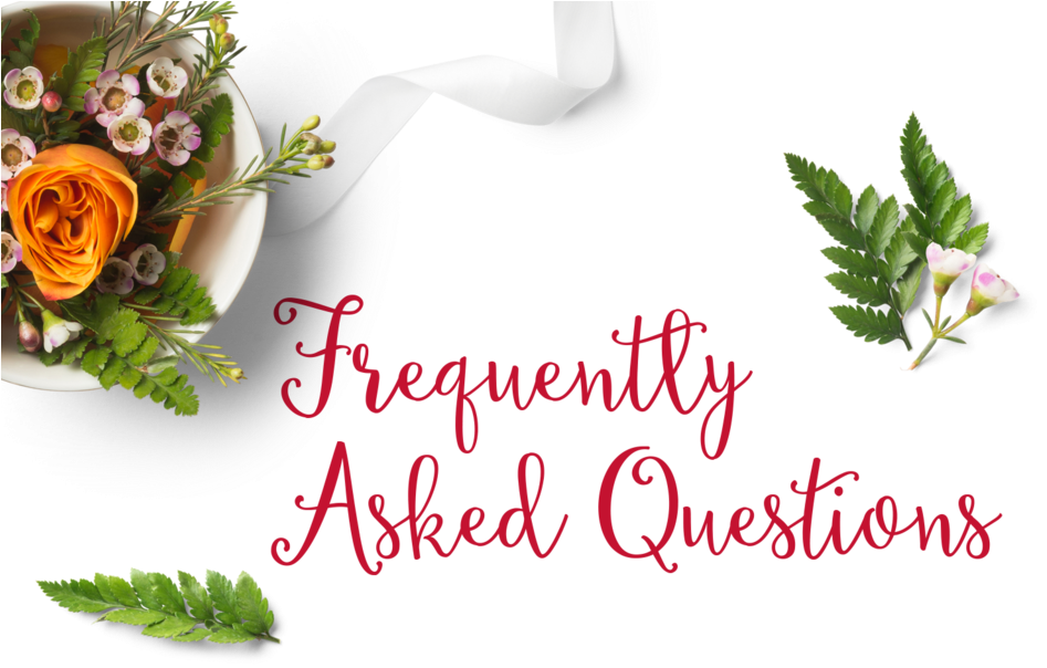 Faq - Hybrid Tea Rose Clipart (1024x640), Png Download