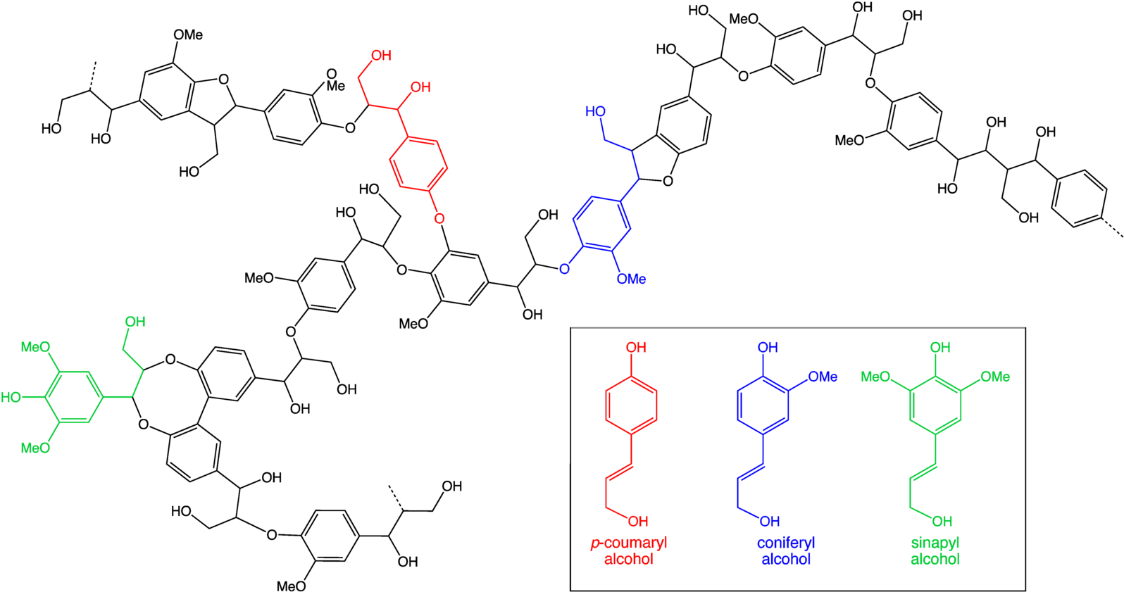 6 Lignin Egee 439 Chemical Composition Of Wood Ash - Lignin Structure Clipart (1600x848), Png Download