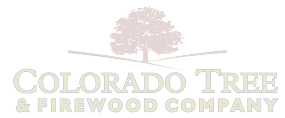 Colorado Tree And Firewood 682 0462 Or (719) 680 1071 - Wawel Cathedral Clipart (1000x414), Png Download