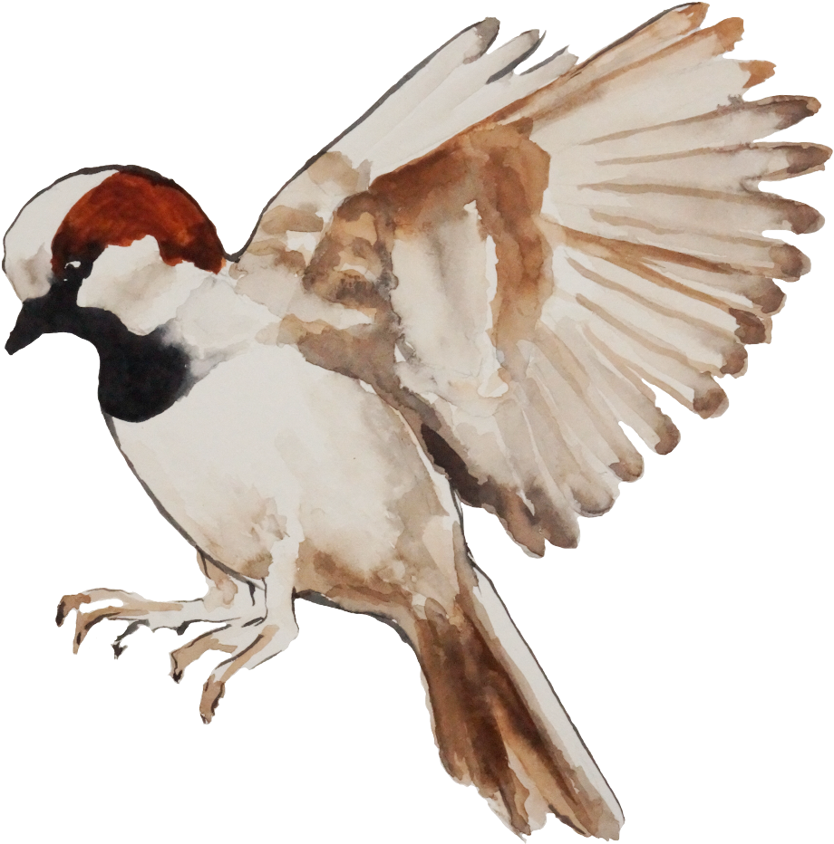 Art By Christine Parson - Woodpecker Clipart (1600x1066), Png Download